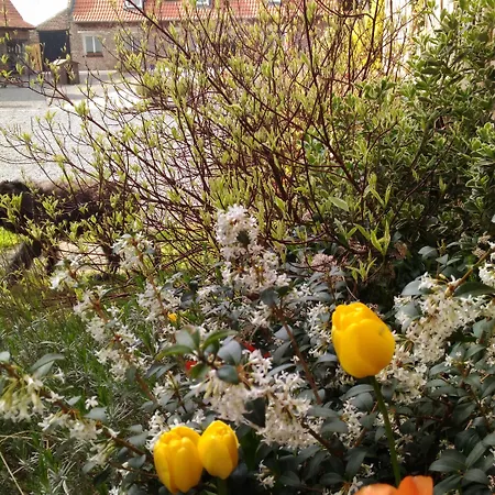 La Ferme De La Papote Bed & Breakfast Morbecque