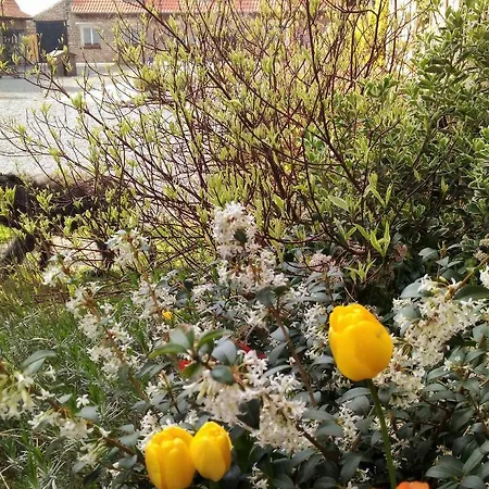 La Ferme De La Papote