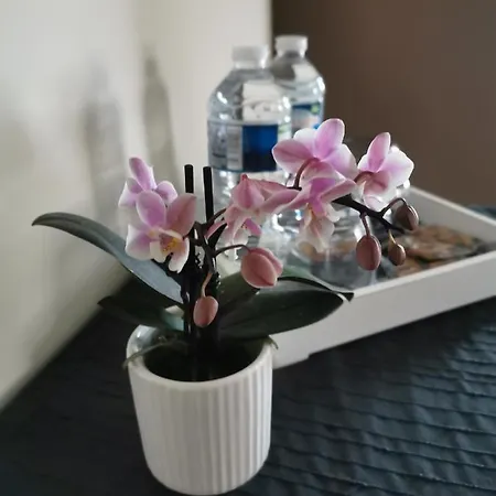 La Ferme De La Papote